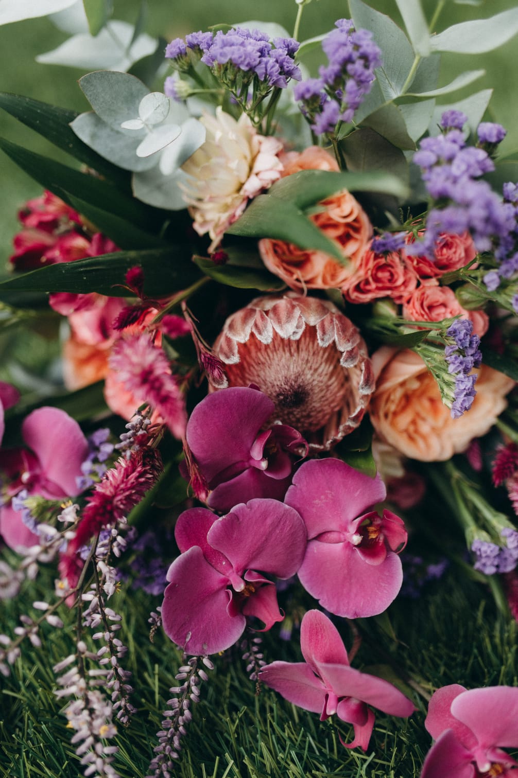 WhatsApp Image 2024-09-27 at 17.46.50.jpeg