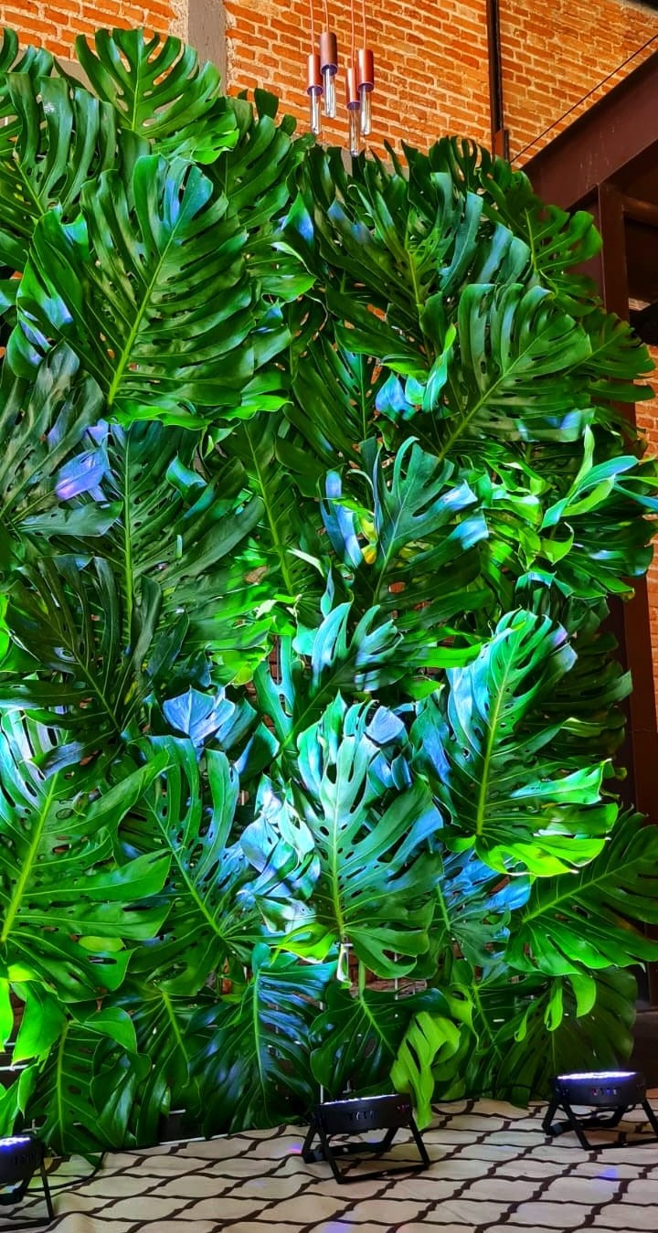 WhatsApp Image 2024-10-01 at 09.38.58.jpeg