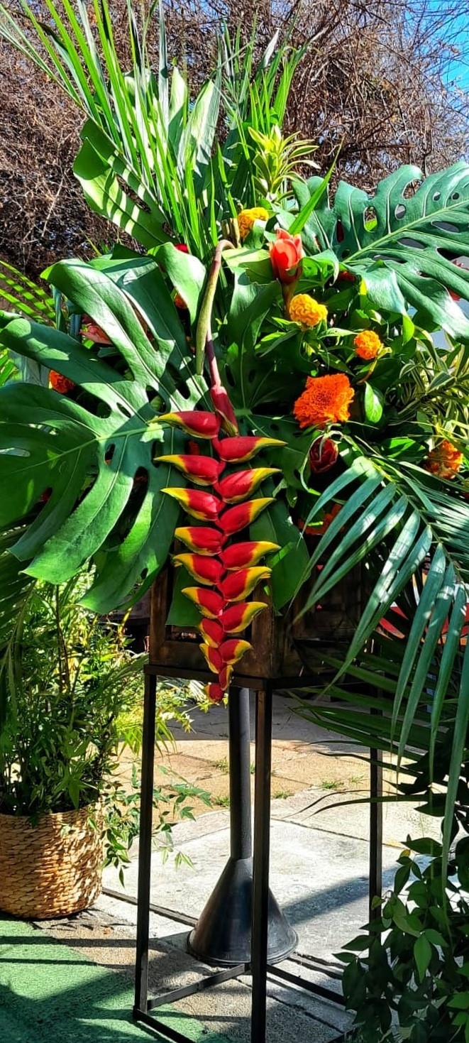 WhatsApp Image 2024-10-01 at 09.37.38.jpeg