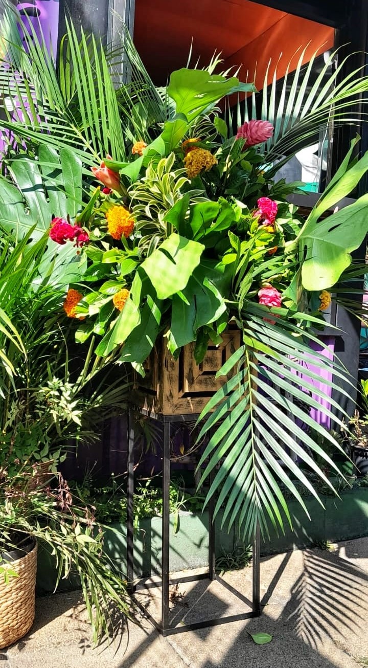 WhatsApp Image 2024-10-01 at 09.38.49.jpeg